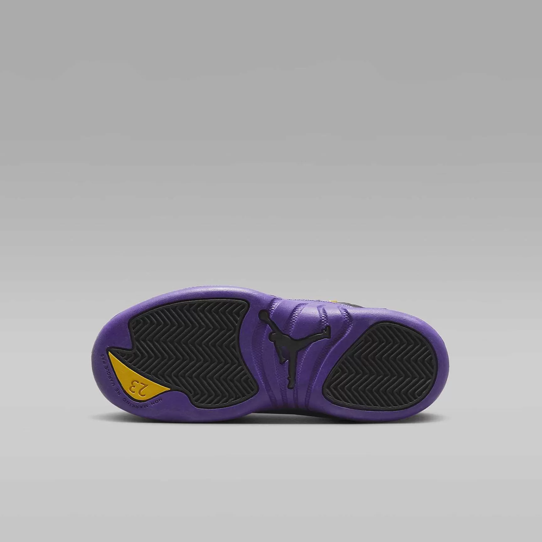 Nike Jordanie 12 Retro -Kinderen Jordanie